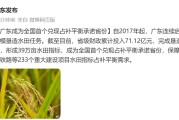 广东成为全国首个兑现占补平衡承诺省份