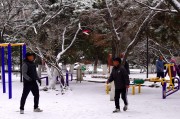 辽宁迎今冬首场大雪 需防范雪后低温