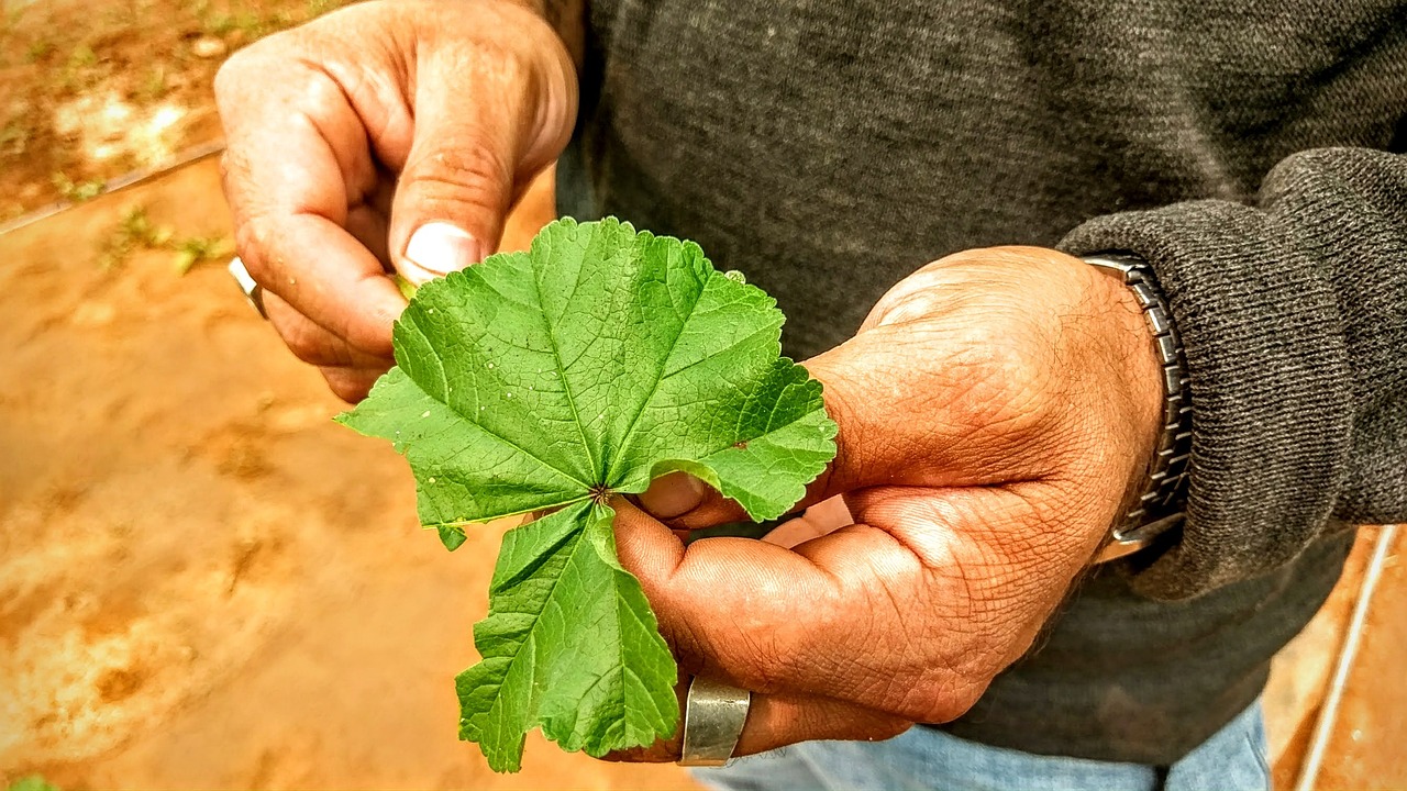 有308激光治疗白癜风吗