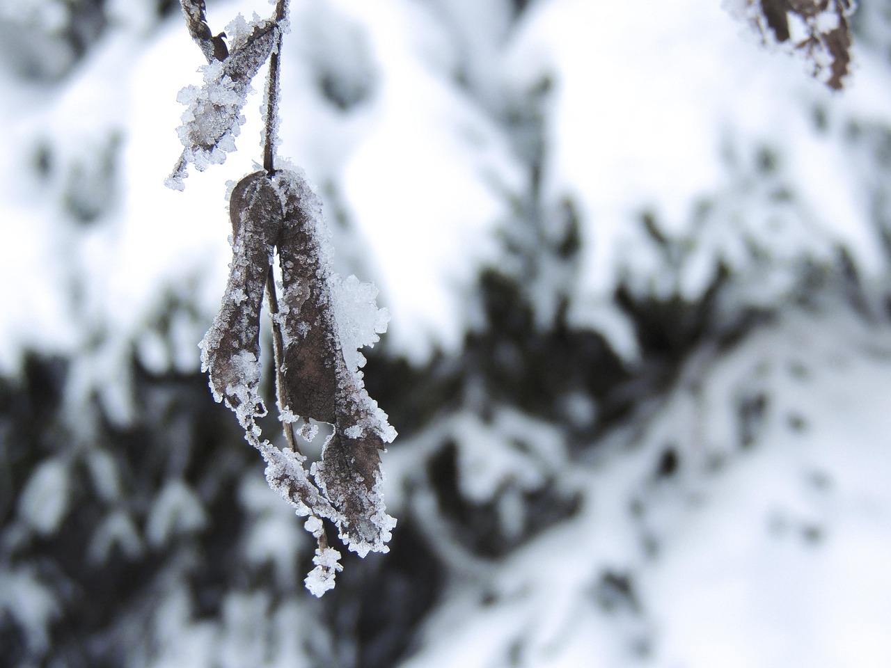 冻雨、暴雪！今晚河南新一轮雨雪来袭，出行注意！