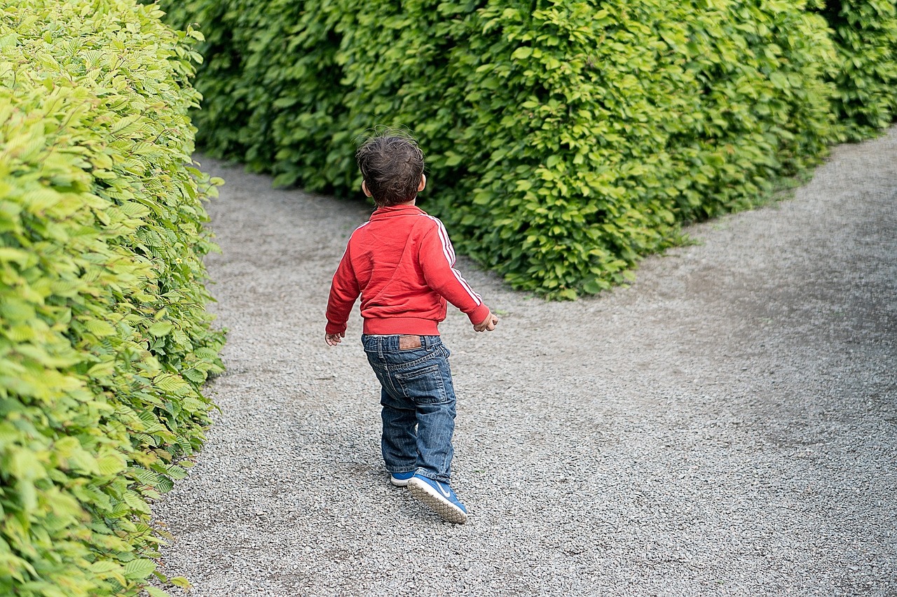 高速公路边，母子间的悲剧瞬间——妈妈停车打孩子事件