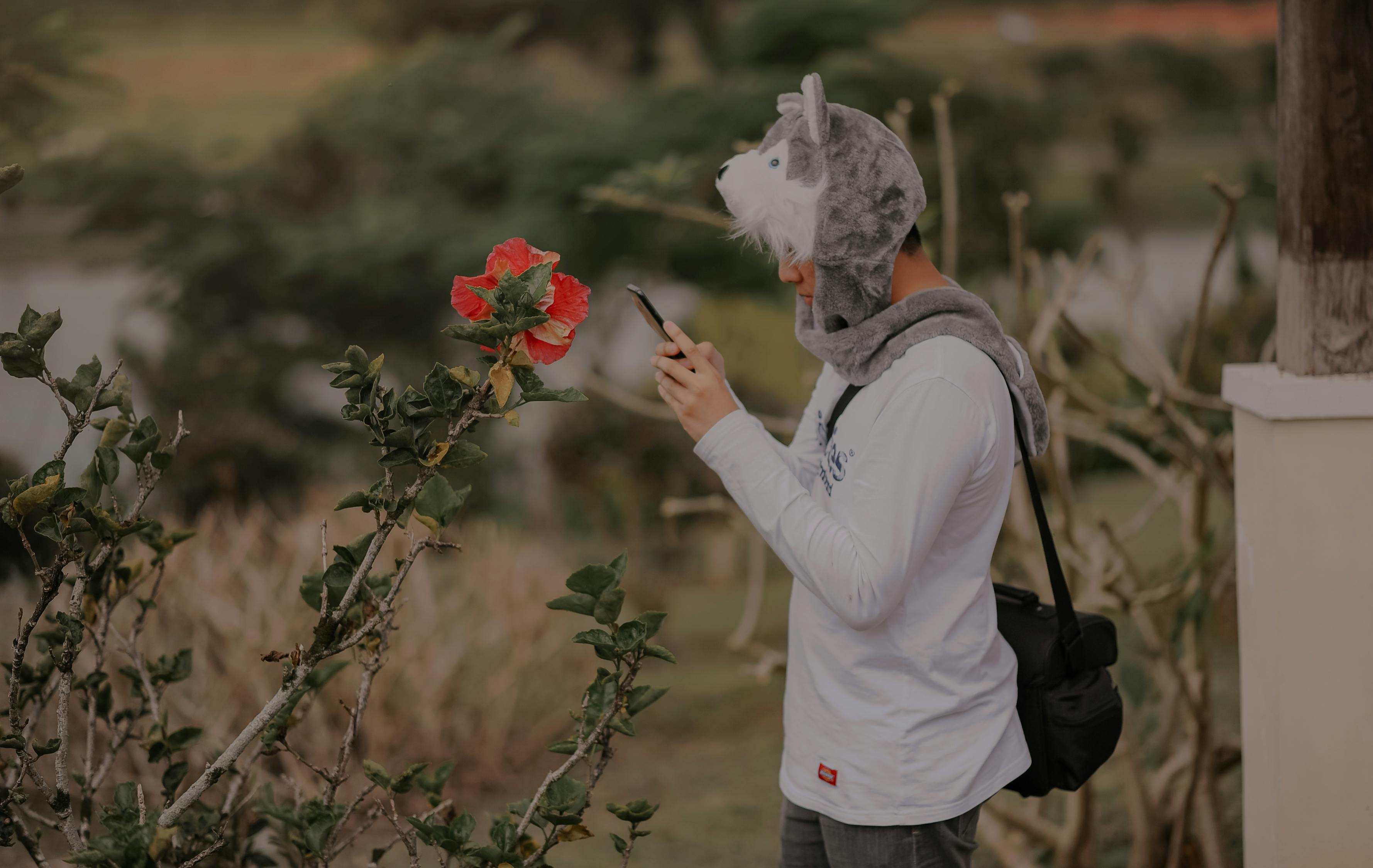 杨妞花，等待人贩执行死刑的日子