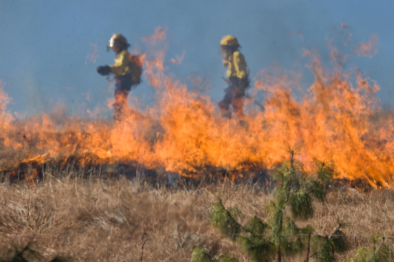 纽约州长宣布进入紧急状态 火灾引发多地警报